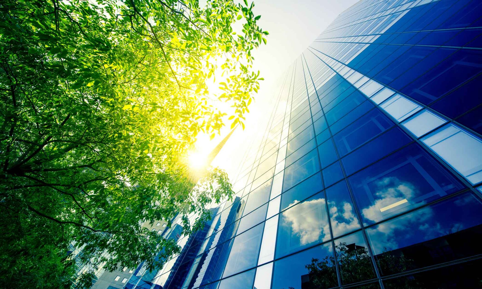 Skyscraper with trees and sunlight, clouds reflecting off building windows. Hero image for US Emissions Trade Inc site.
